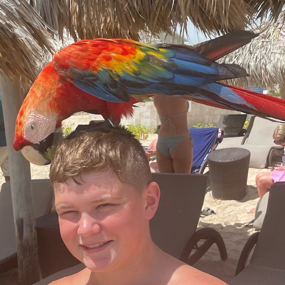 Meet your Posher, Brody - Picture 1 of 1